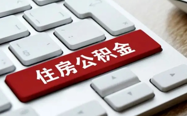 莘县公积金公司交的部分怎么提取（公积金提取公司缴纳部分）